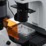 Співпраця з науковими центрами України