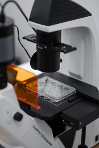 Співпраця з науковими центрами України