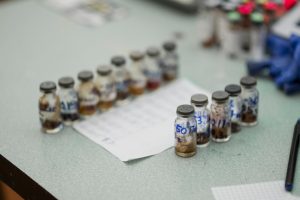 Розбудова дослідницької інфраструктури екосистеми дизайну ліків